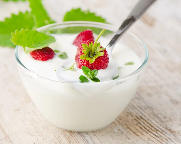 Fresh yogurt — Stock Photo, Image