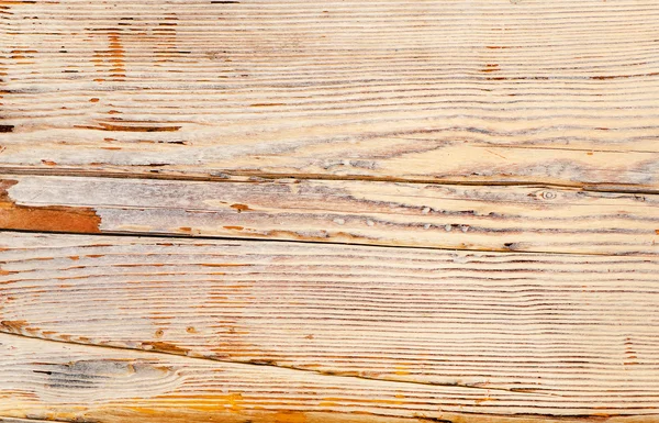 Textura de madeira de uma árvore — Fotografia de Stock