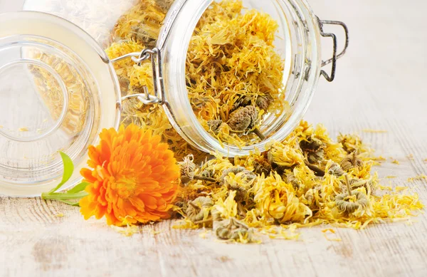 Calendula - medicinalväxter på träbord — Stockfoto