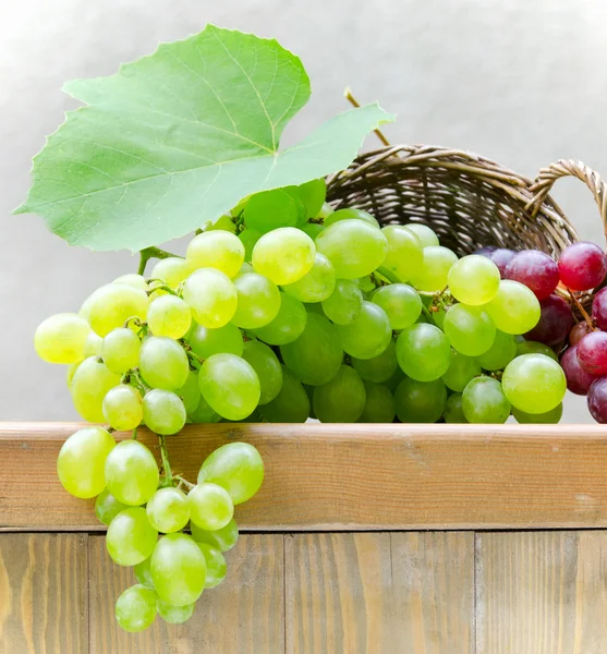 Green grapes in the basket — Stock Photo, Image