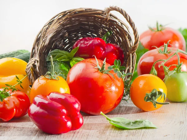 Pomidory i papryki — Zdjęcie stockowe