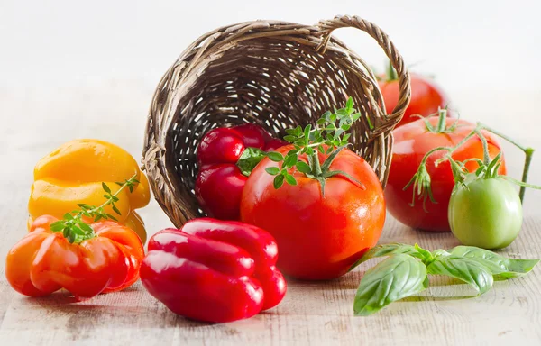 Tomates y pimientos — Foto de Stock