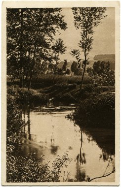 Alders akış tarafından