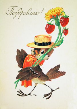Kuş, antika kartpostal