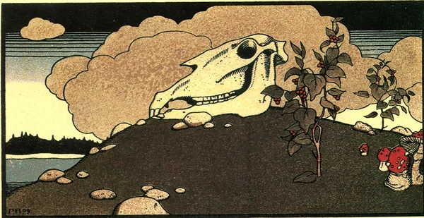 Horse skull — Stock Photo, Image