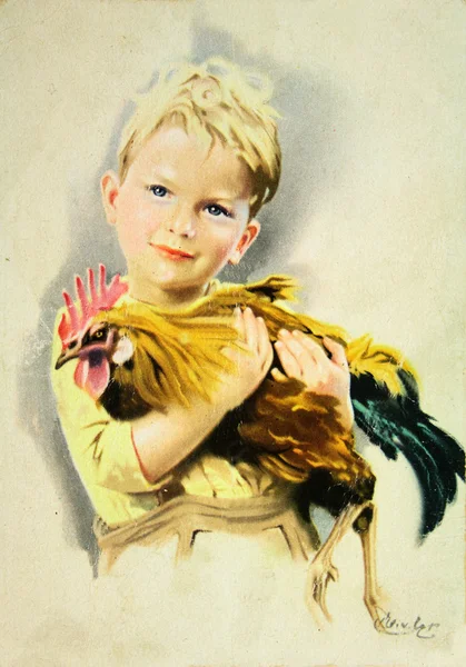 Boy with a rooster on his hands — Stock Photo, Image