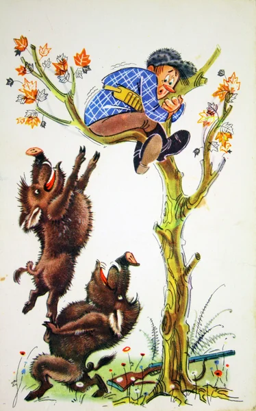 Кабаны пытаются убрать охотника за деревьями. — стоковое фото