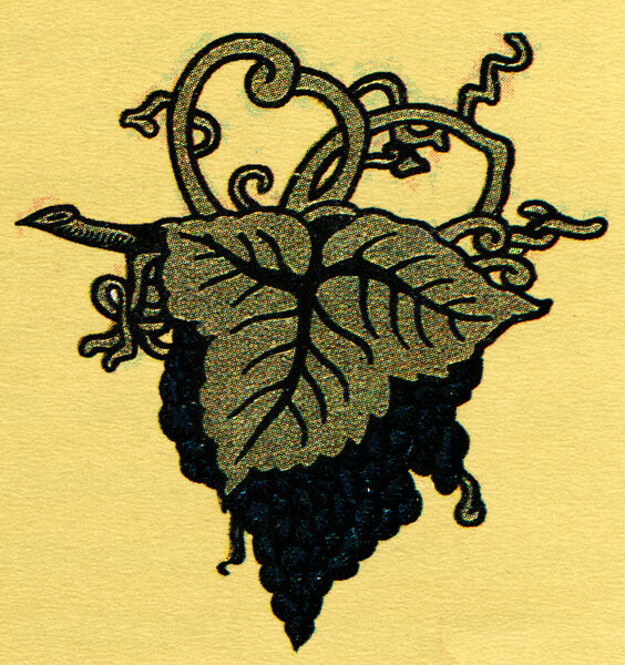 Виноградная ветвь
