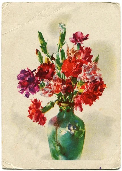Szegfűszeg Pink Bouquet a zöld váza — Stock Fotó