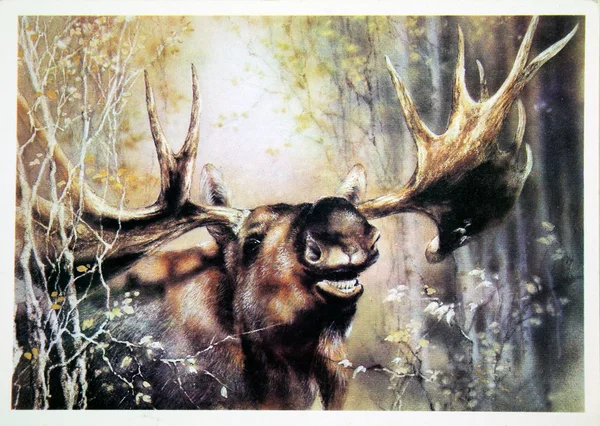 Elk USSR-circa 1989 — Stockfoto