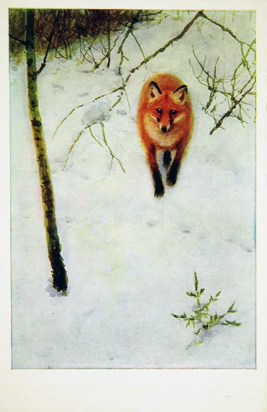 ¡Fox! URSS - CIRCA 1969 — Foto de Stock