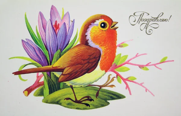 Singing bird, antique postcard — Stock Photo, Image