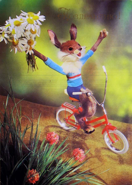 Kanin på bicicle med bouket av blommor — Stockfoto