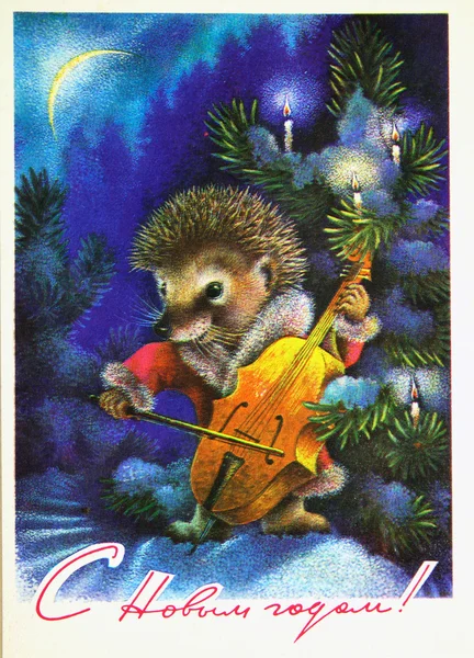 Jeż gra na wiolonczeli pod śniegiem świerk — Zdjęcie stockowe