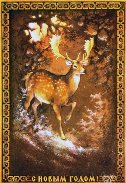 冬の森の鹿 — ストック写真