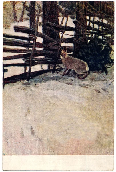 Lepre nella neve vicino alla recinzione nel cortile — Foto Stock
