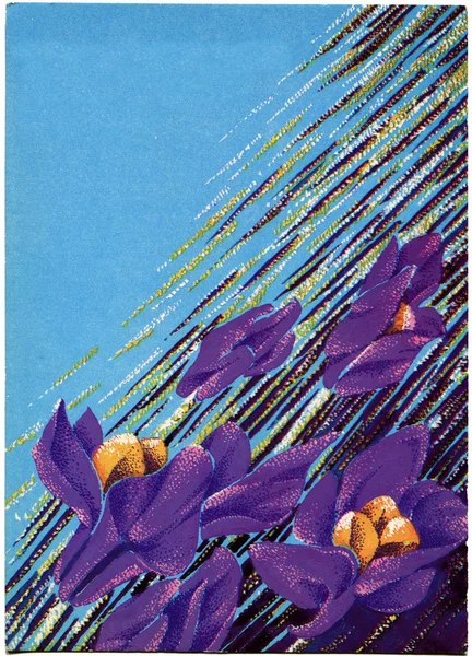 鸢尾花，艺术家 chernyshev — 图库照片