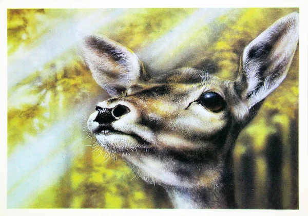 苏联-大约 1989 年： 繁殖的古色古香的明信片显示 roe 亲爱的大约 1989 年 — 图库照片
