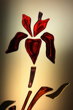 kırmızı renkli çiçek