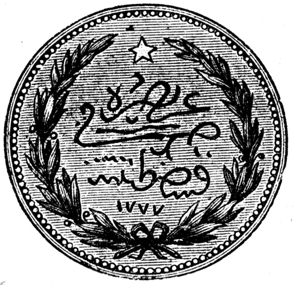 Török líra, 100 kuruses, 1890 — Stock Fotó