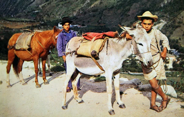昭和 35 年頃 - ベネズエラ： アンティーク ポストカードの再現は昭和 35 年頃のロバと 2 人の男の子を示しています — ストック写真