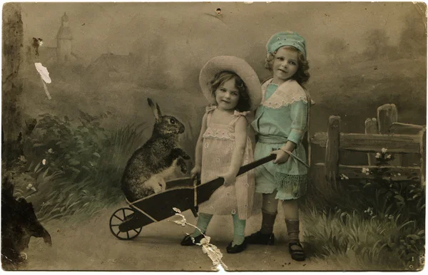 Two girls with a rabbit in a wheelbarrow — Stock Photo, Image
