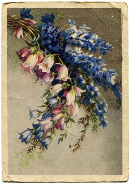 Kır çiçekleri ile Vuntage kartpostal — Stok fotoğraf