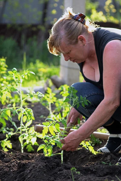 Kadın bir bahçede çalışıyor — Stok fotoğraf