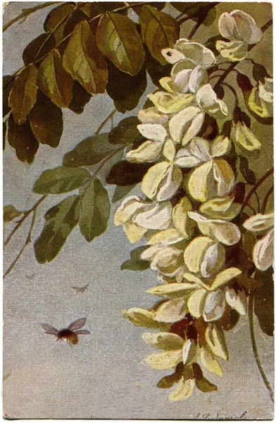 蜜蜂和棵开花的树 — 图库照片