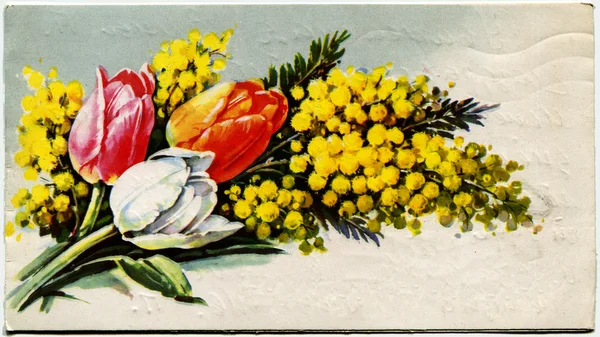 Bukett med tulpaner och mimosa — Stockfoto