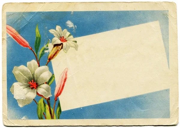 Buquê de lírios brancos e um cartão em branco contra o céu azul, 1 — Fotografia de Stock