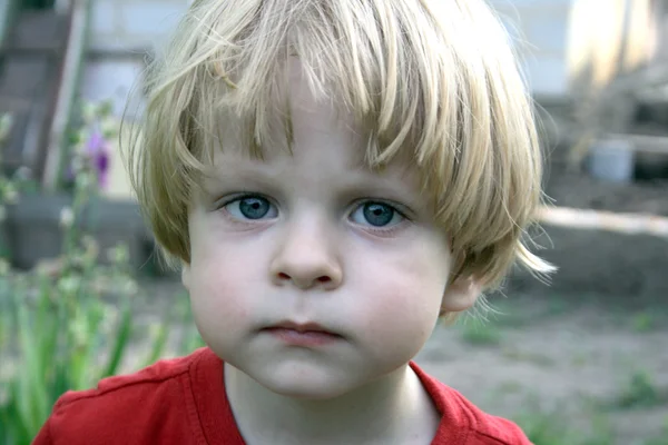 Симпатичный маленький мальчик смотрит в объектив — стоковое фото