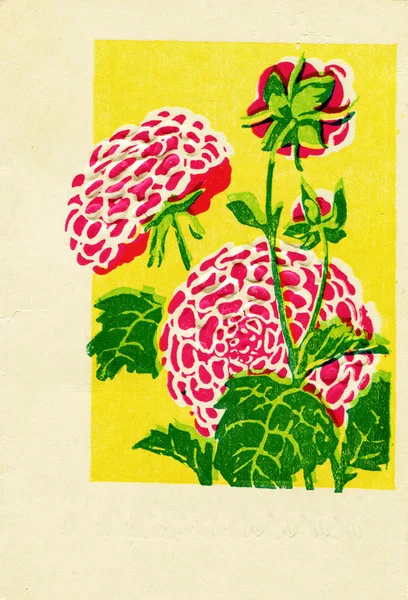 Ευχετήρια κάρτα δείχνει κόκκινα λουλούδια — Φωτογραφία Αρχείου