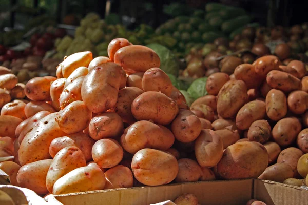 Bio brambory na displeji — Stock fotografie