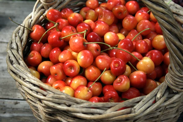 Yellow & red cherries in basket — Stock Photo, Image