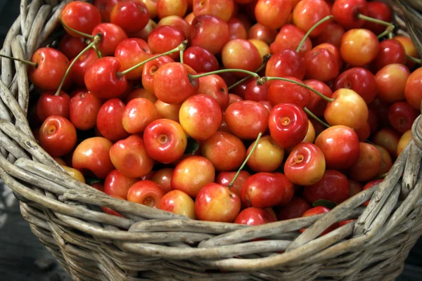 Желтые и красные вишни в корзине — стоковое фото