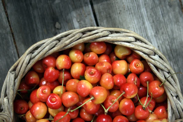 Yellow & red cherries in basket — Stock Photo, Image