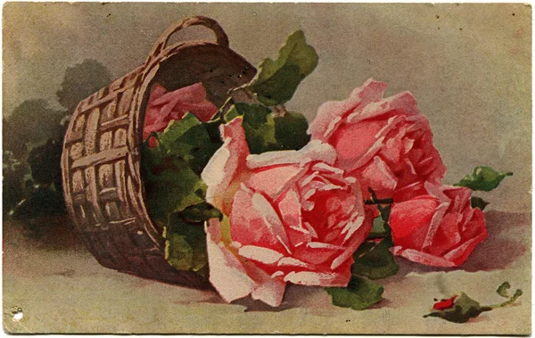 Rosen im Korb — Stockfoto