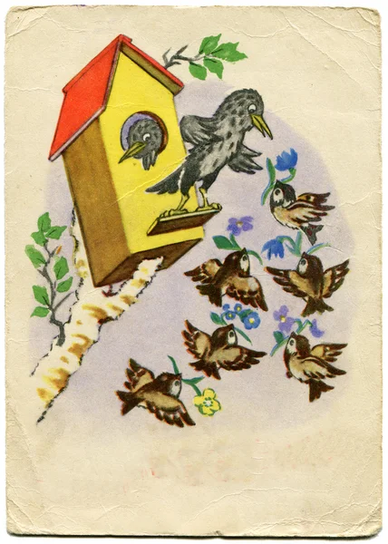 Vrabci s květinami v jejich zobáky k narozeninám Špaček — Stock fotografie