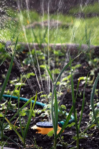 Dispositivo moderno de irrigação — Fotografia de Stock