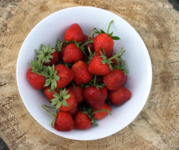 Frische Erdbeere im Teller — Stockfoto