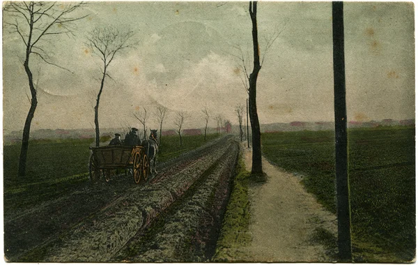 Wagon z dwóch koni pochodzących wzdłuż drogi między drzewami, — Zdjęcie stockowe