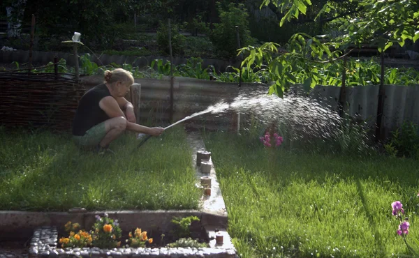 Kvinna vattning trädgård — Stockfoto