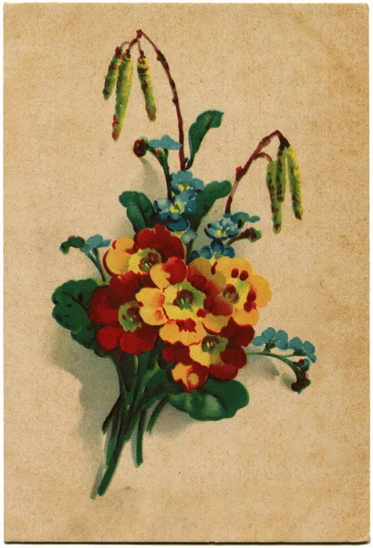 Vadvirágok — Stock Fotó