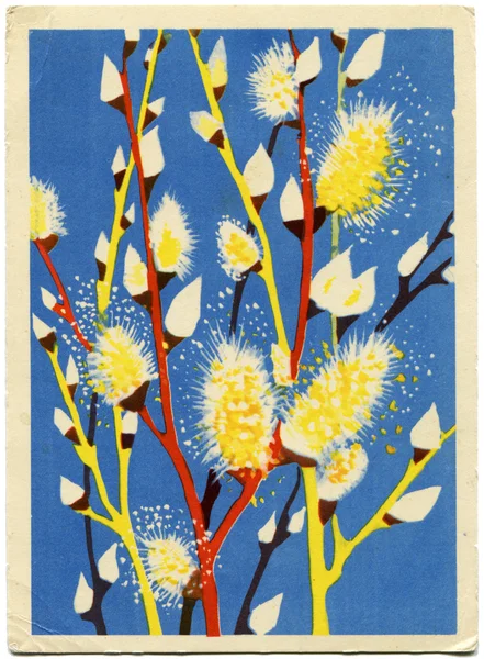 武蒂奇明信片苏联， 1965 — 图库照片