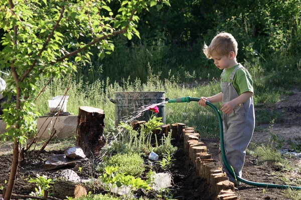 Маленький мальчик поливает растения в саду — стоковое фото