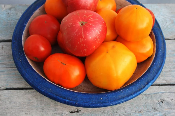 Fresh tomatos on a blue plate — Stock Photo, Image