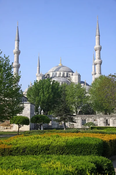 Το μπλε τζαμί στην Κωνσταντινούπολη, γαλοπούλα — Φωτογραφία Αρχείου