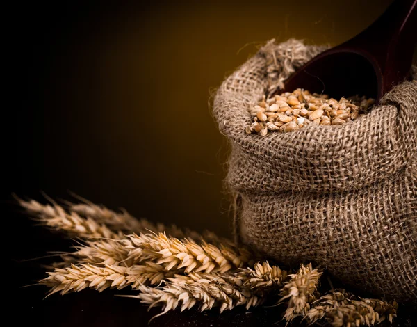 Wheat in burlap bag — Stock Photo, Image