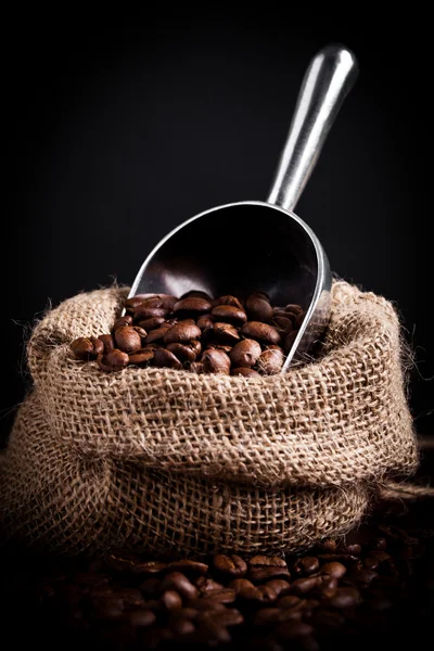 Versamento di chicchi di caffè — Foto Stock